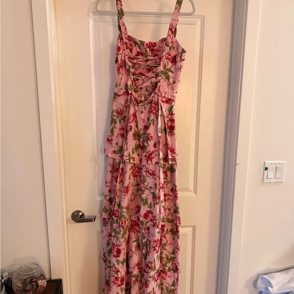 Show Me Your MuMu Lady Corset Dress - Garden color (like new!) - Picture 5 of 6
